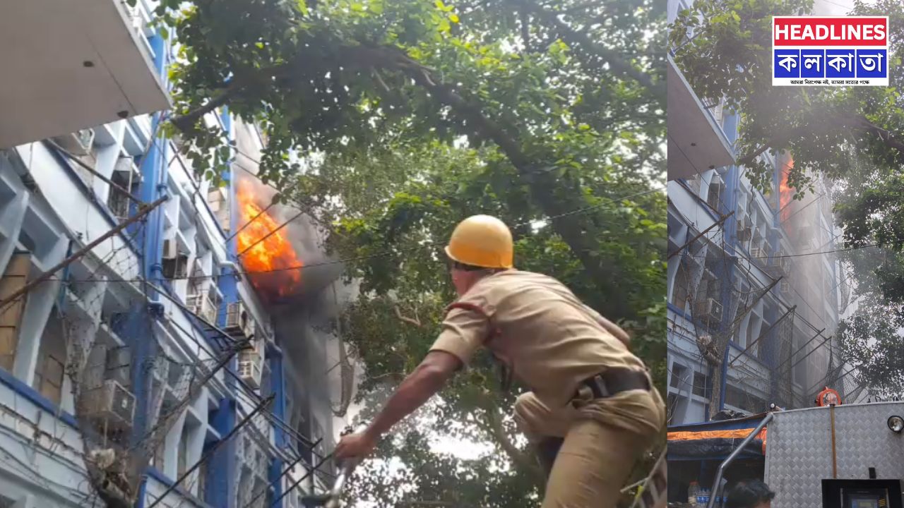 কলকাতার আলিপুরে সরকারি দফতরে ভয়াবহ অগ্নিকাণ্ড: ছাদে আটকে কর্মীরা, ব্যাহত হতে পারে সরকারি পরিষেবা 