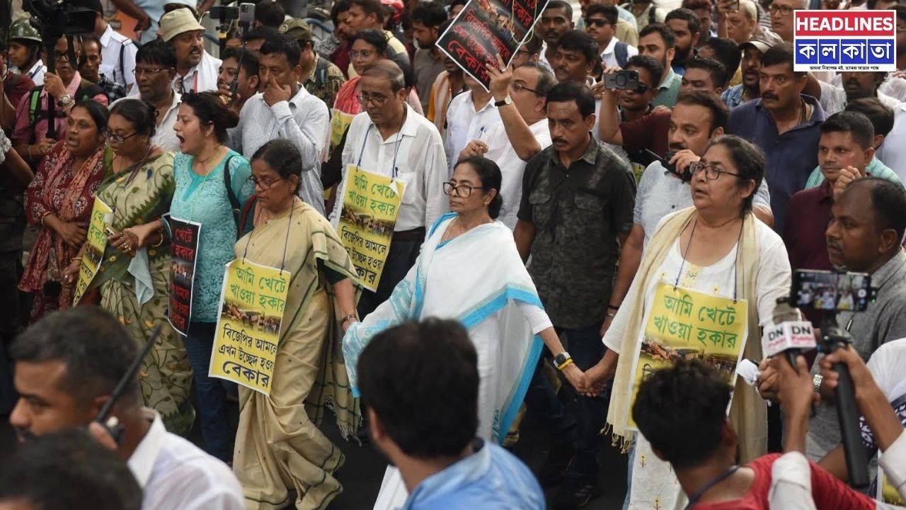 ধর্মতলায় হকার উচ্ছেদের প্রতিবাদে চেনা মেজাজে তৃণমূল সুপ্রিমো মমতা!