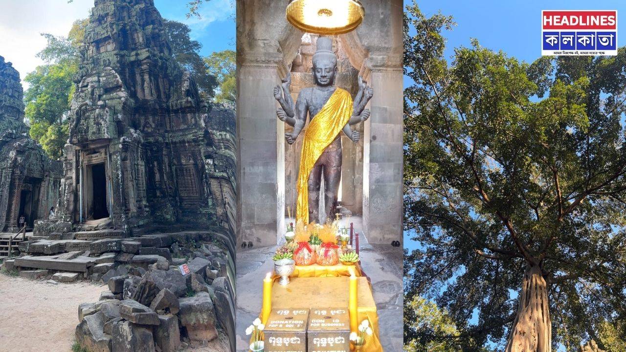 ইতিহাসের হাতছানিতে হোক বছর শুরু: কেন বেছে নেবেন আংকর ওয়াট?