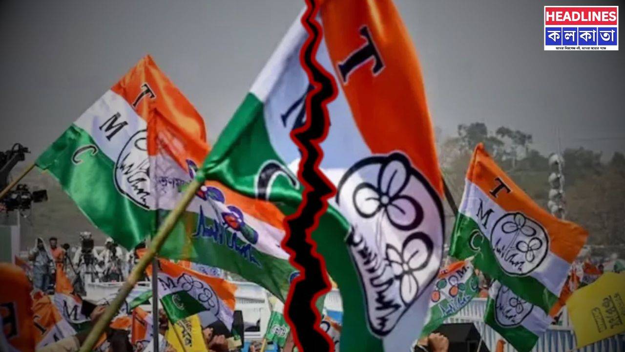 তৃণমূলে ভরাডুবি! কাকলির পর পদ ছাড়লেন সুশান্ত-অরূপ, ‘কনভয় চড়া’ নেতাদের তুলোধনা! 