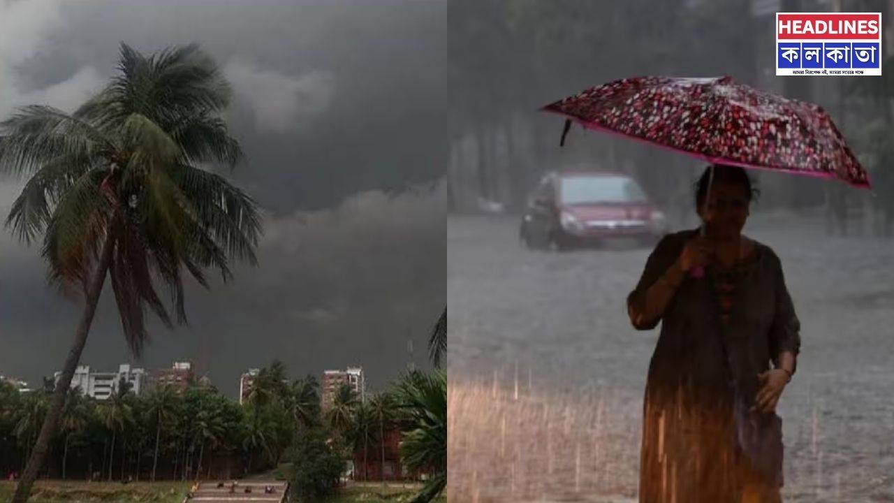 উইকেন্ডেই আবহাওয়ার ভোলবদল! রোদের দাপট কমবে নাকি বাড়বে ঝড়-বৃষ্টি? 